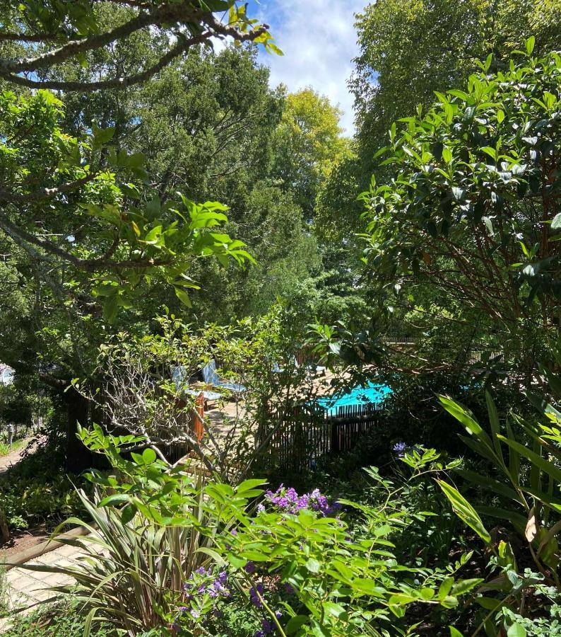 Badger'S Cottage 克尼斯纳 外观 照片