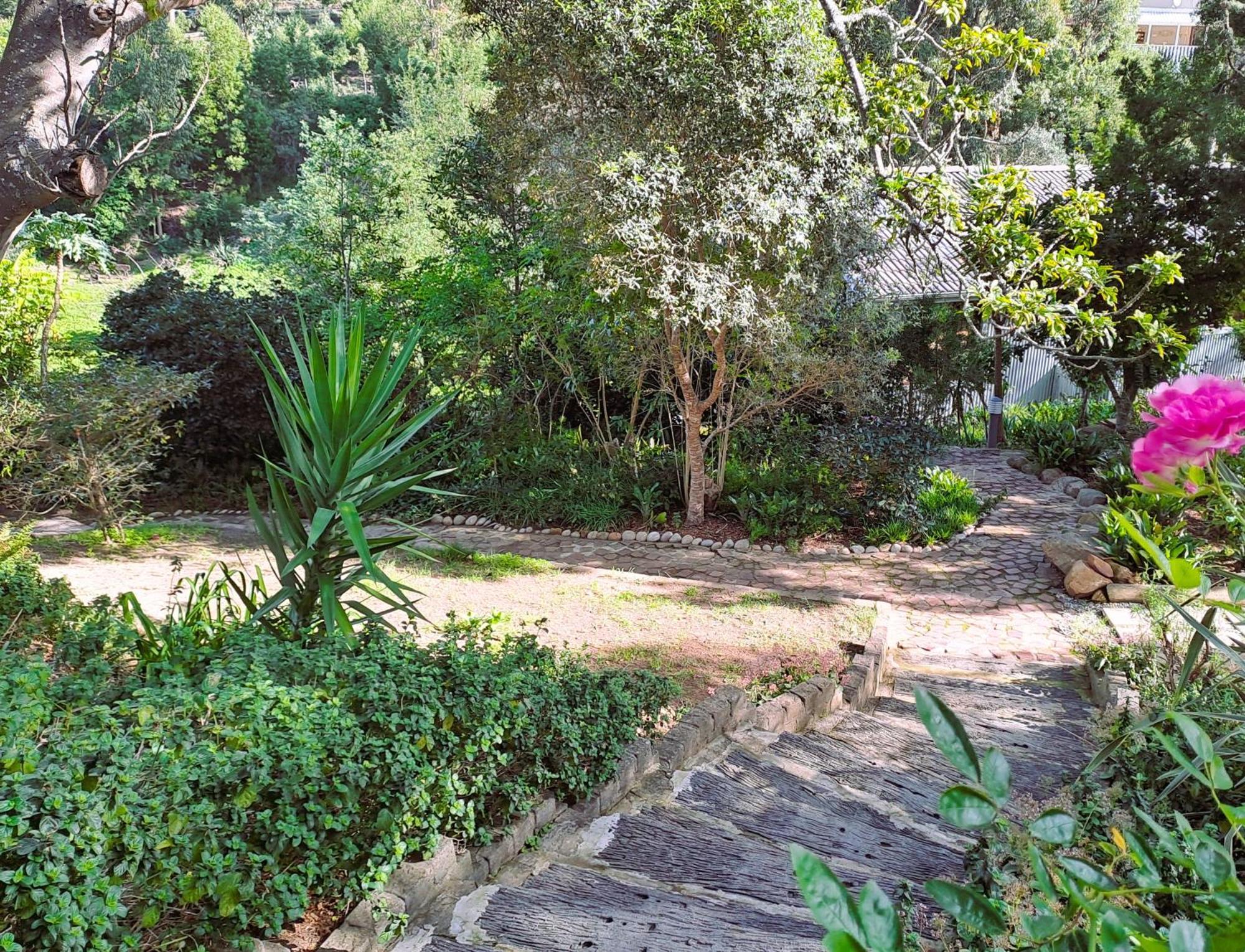 Badger'S Cottage 克尼斯纳 外观 照片